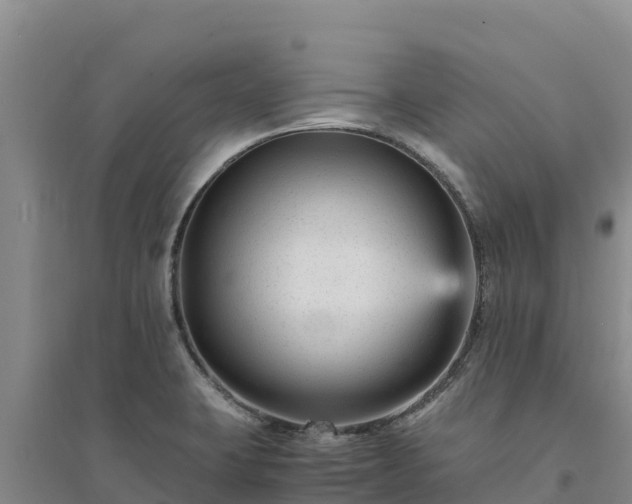 X0000094341423200711091418