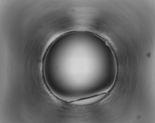 X0000094341424200711091418