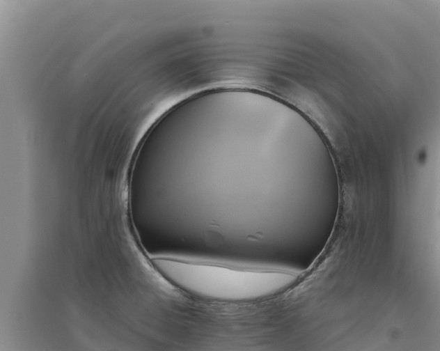 X0000094341428200711091418