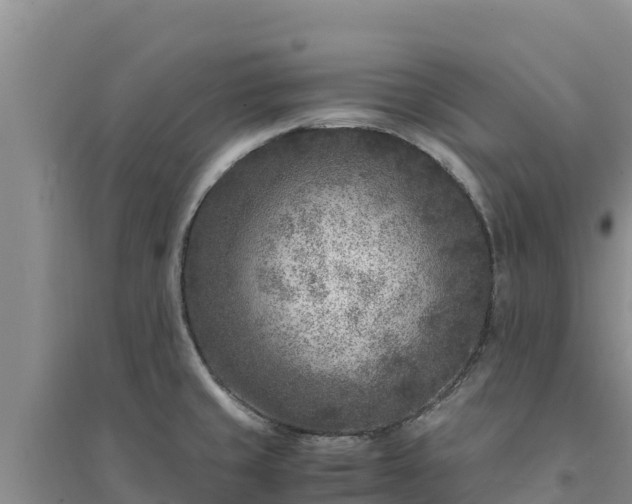 X0000094341429200711091418