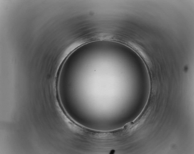 X0000094341434200711091419