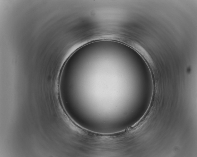 X0000094341436200711091419