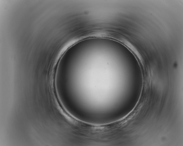 X0000094341437200711091419