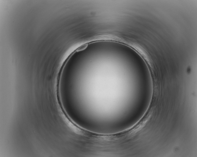 X0000094341438200711091419