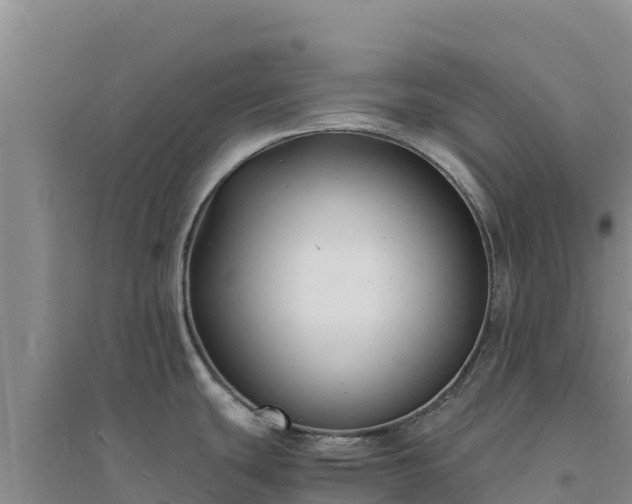 X0000094341439200711091419