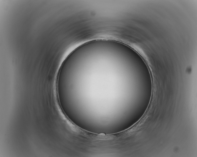 X0000094341440200711091419