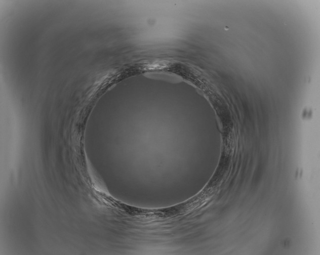 X0000094341441200711091418