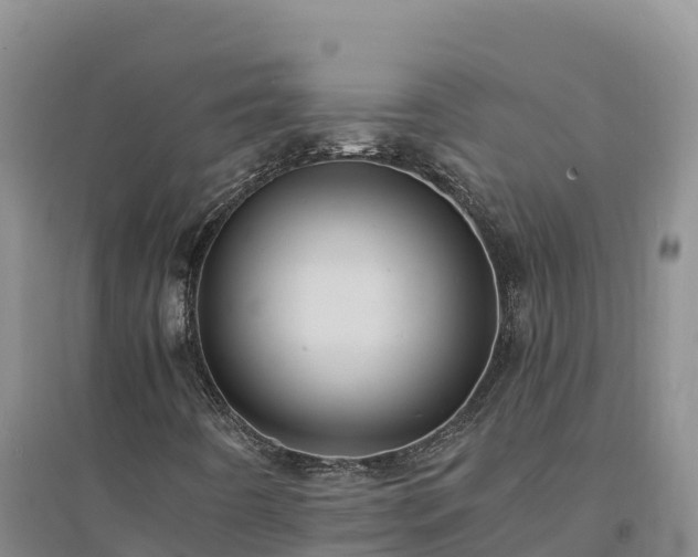 X0000094341442200711091418