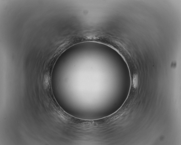 X0000094341444200711091418