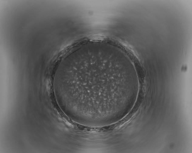 X0000094341445200711091418
