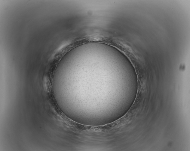 X0000094341446200711091418