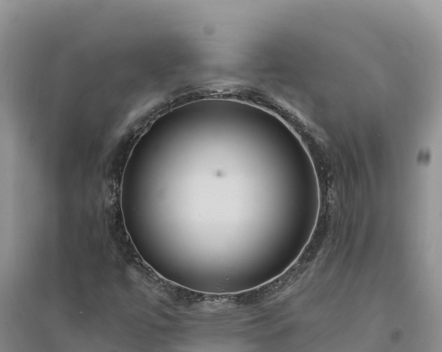 X0000094341447200711091418