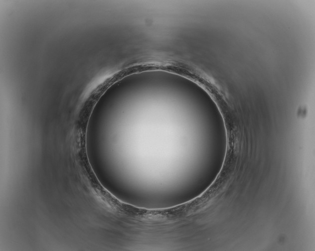 X0000094341448200711091418