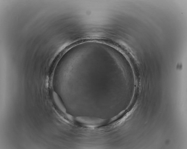 X0000094341449200711091418