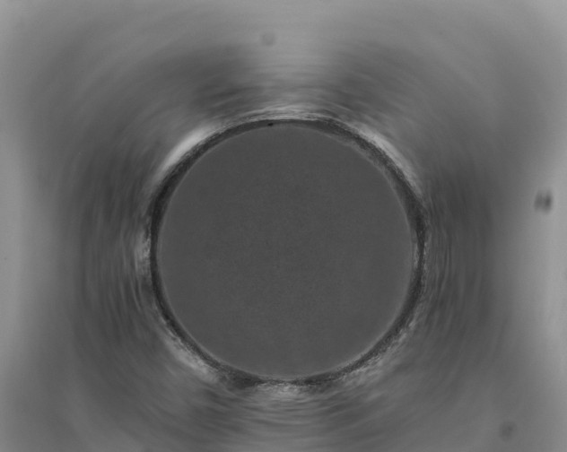 X0000094341450200711091418