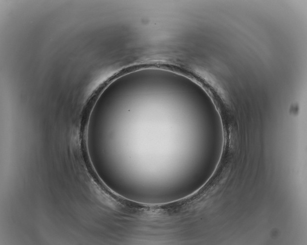X0000094341452200711091418