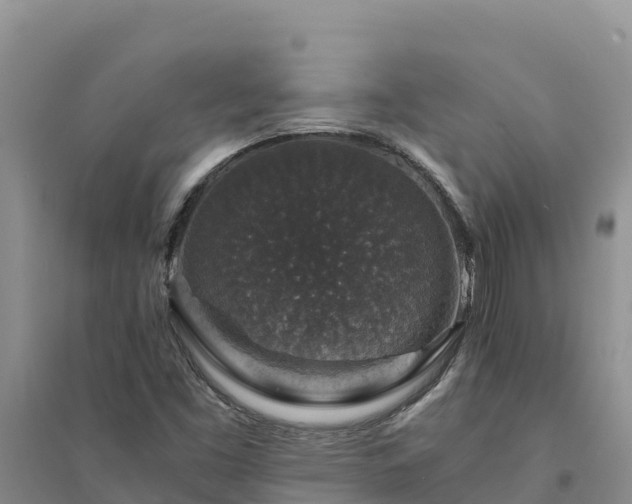 X0000094341453200711091418