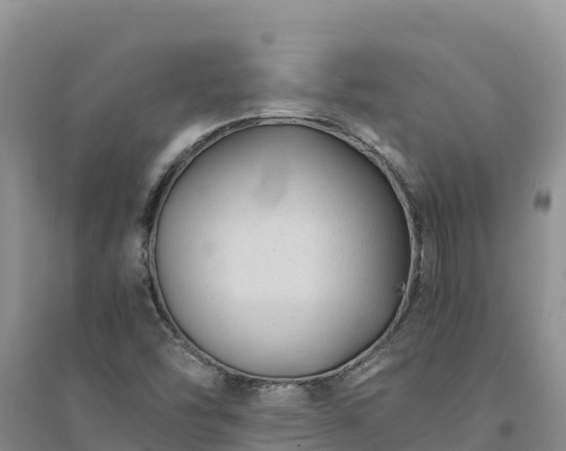 X0000094341454200711091418