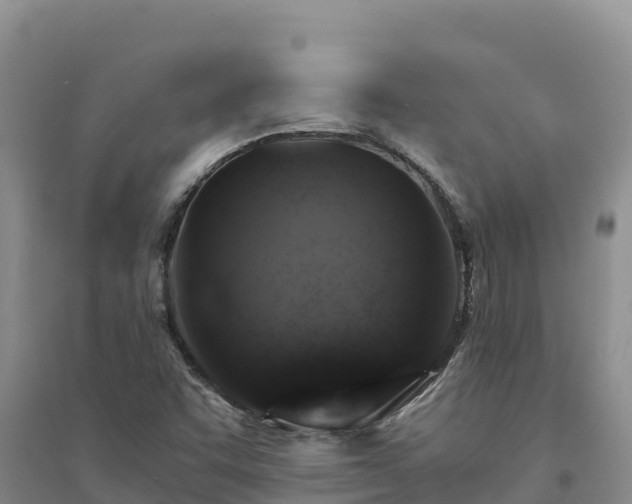 X0000094341455200711091418