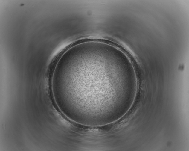 X0000094341456200711091418