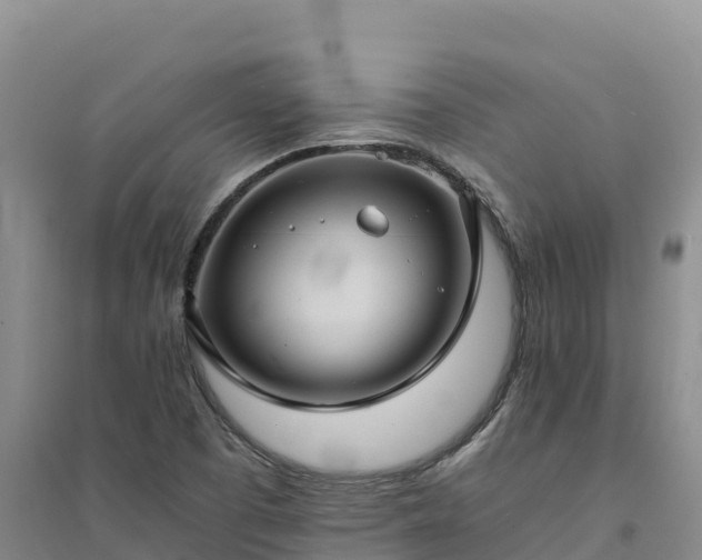 X0000094341457200711091418