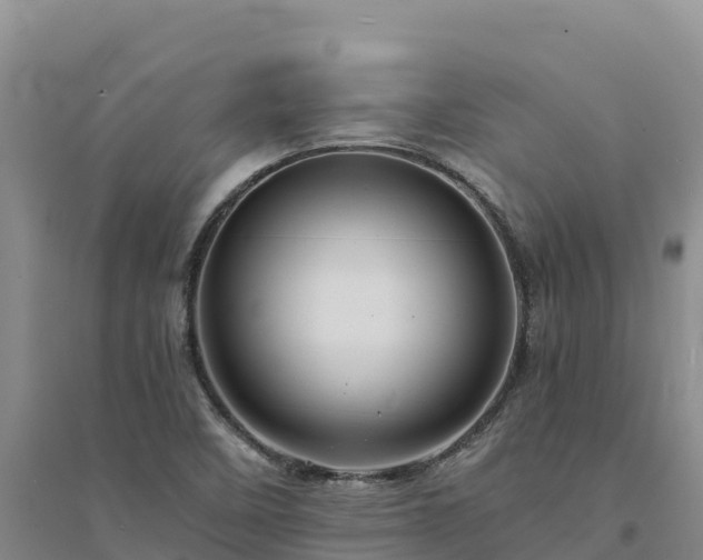 X0000094341458200711091418