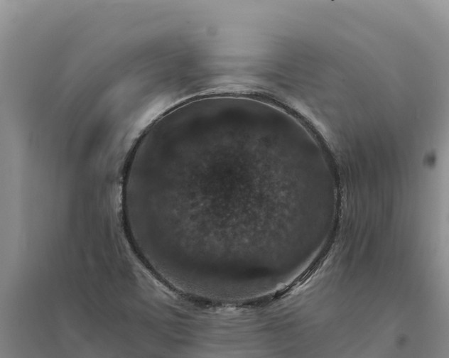 X0000094341459200711091418