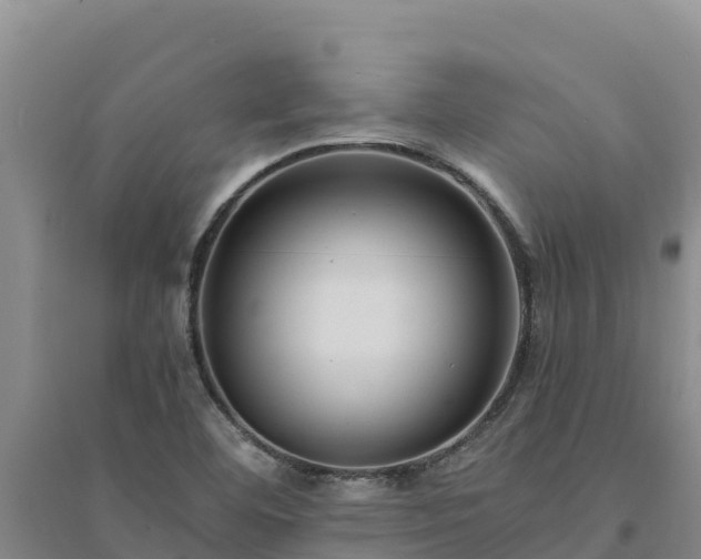 X0000094341460200711091418