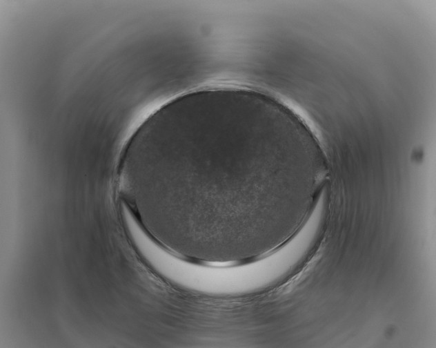 X0000094341461200711091417