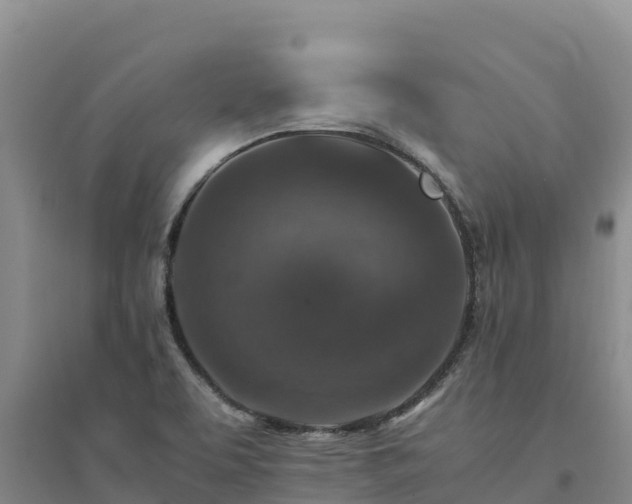 X0000094341463200711091417