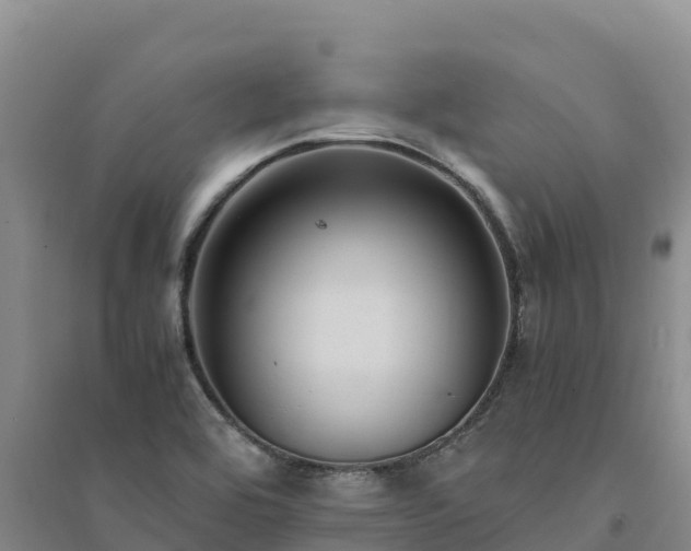 X0000094341464200711091417