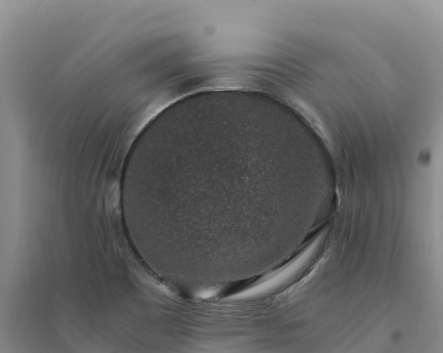X0000094341465200711091417
