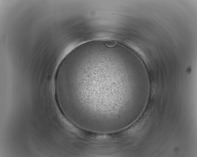 X0000094341467200711091417