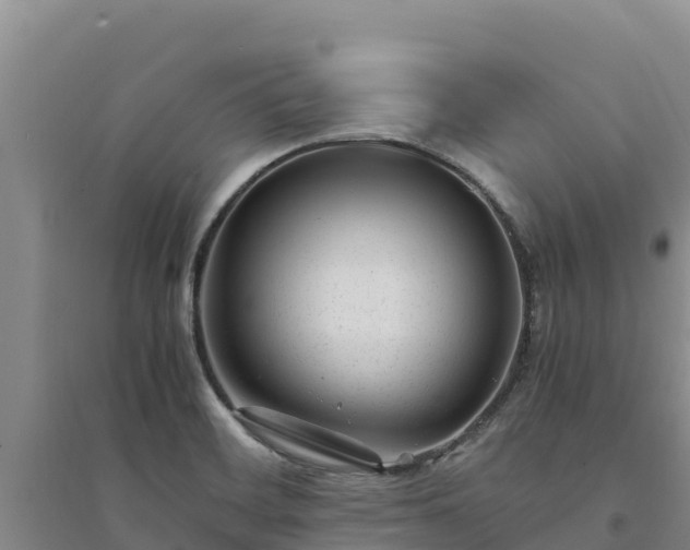 X0000094341468200711091417