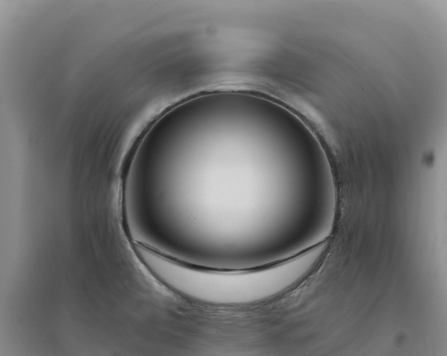 X0000094341472200711091417