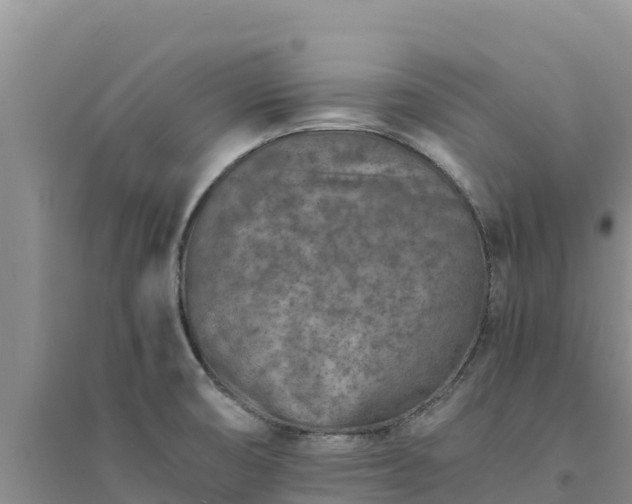 X0000094341474200711091417