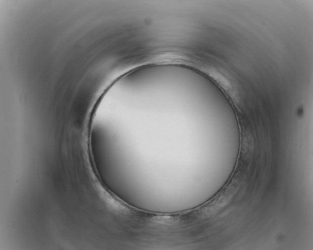 X0000094341478200711091417