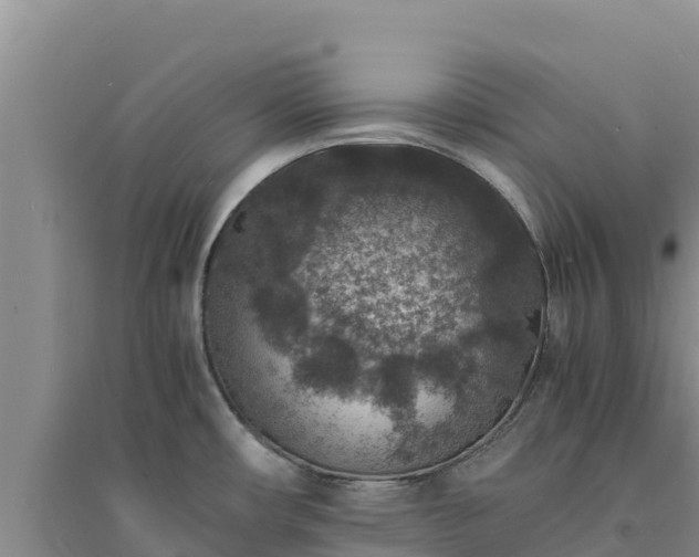 X0000094341482200711091417