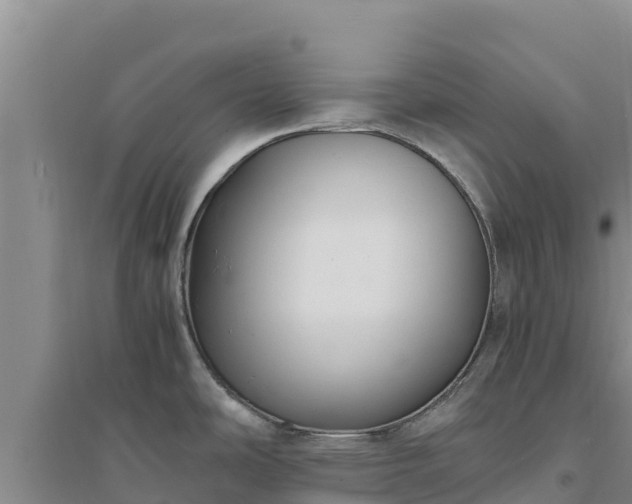 X0000094341486200711091417