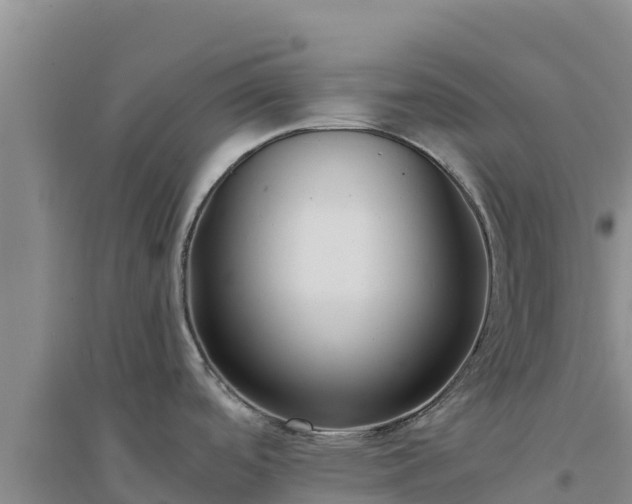 X0000094341488200711091417