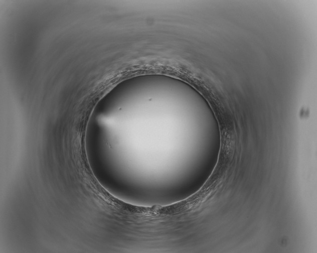 X0000094341489200711091416