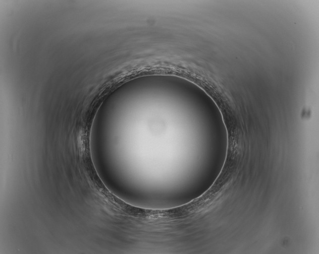 X0000094341490200711091416