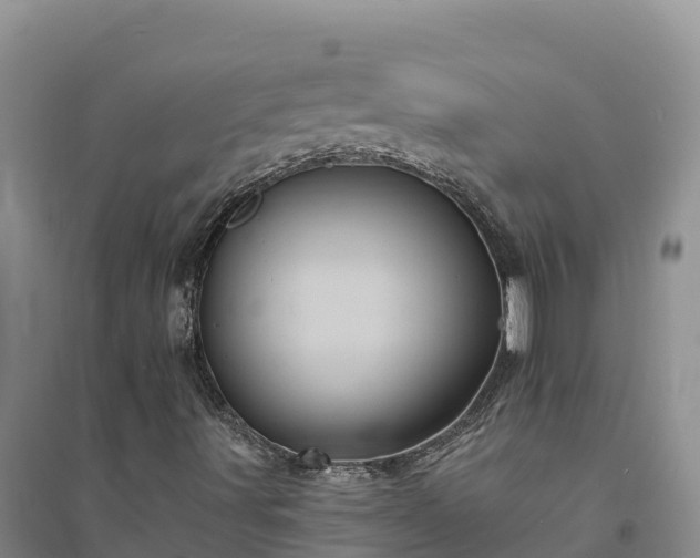 X0000094341491200711091416