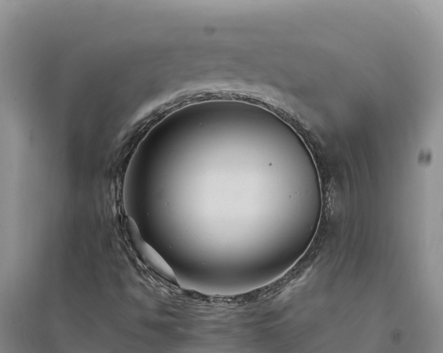 X0000094341494200711091416