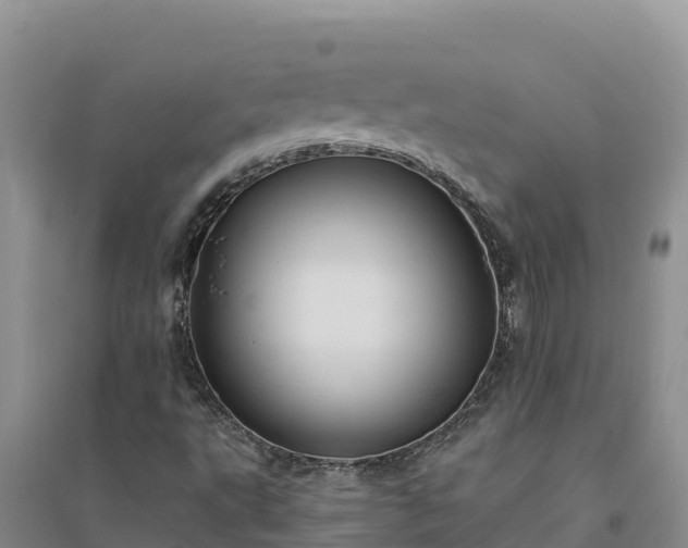 X0000094341495200711091416