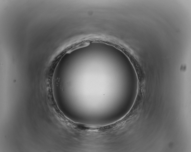 X0000094341496200711091416