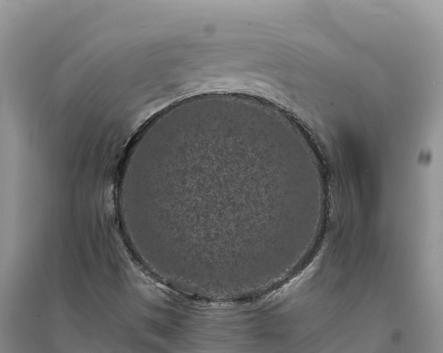 X0000094341497200711091416