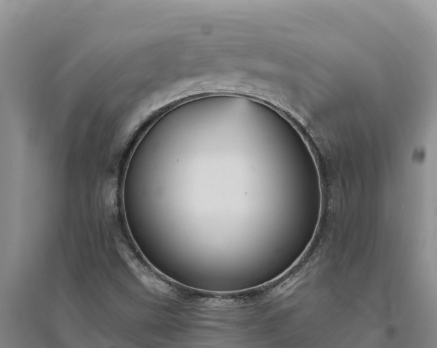 X0000094341499200711091416