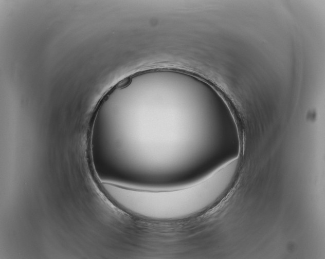 X0000094341500200711091416