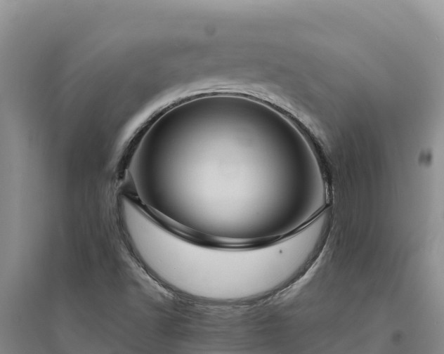 X0000094341502200711091416
